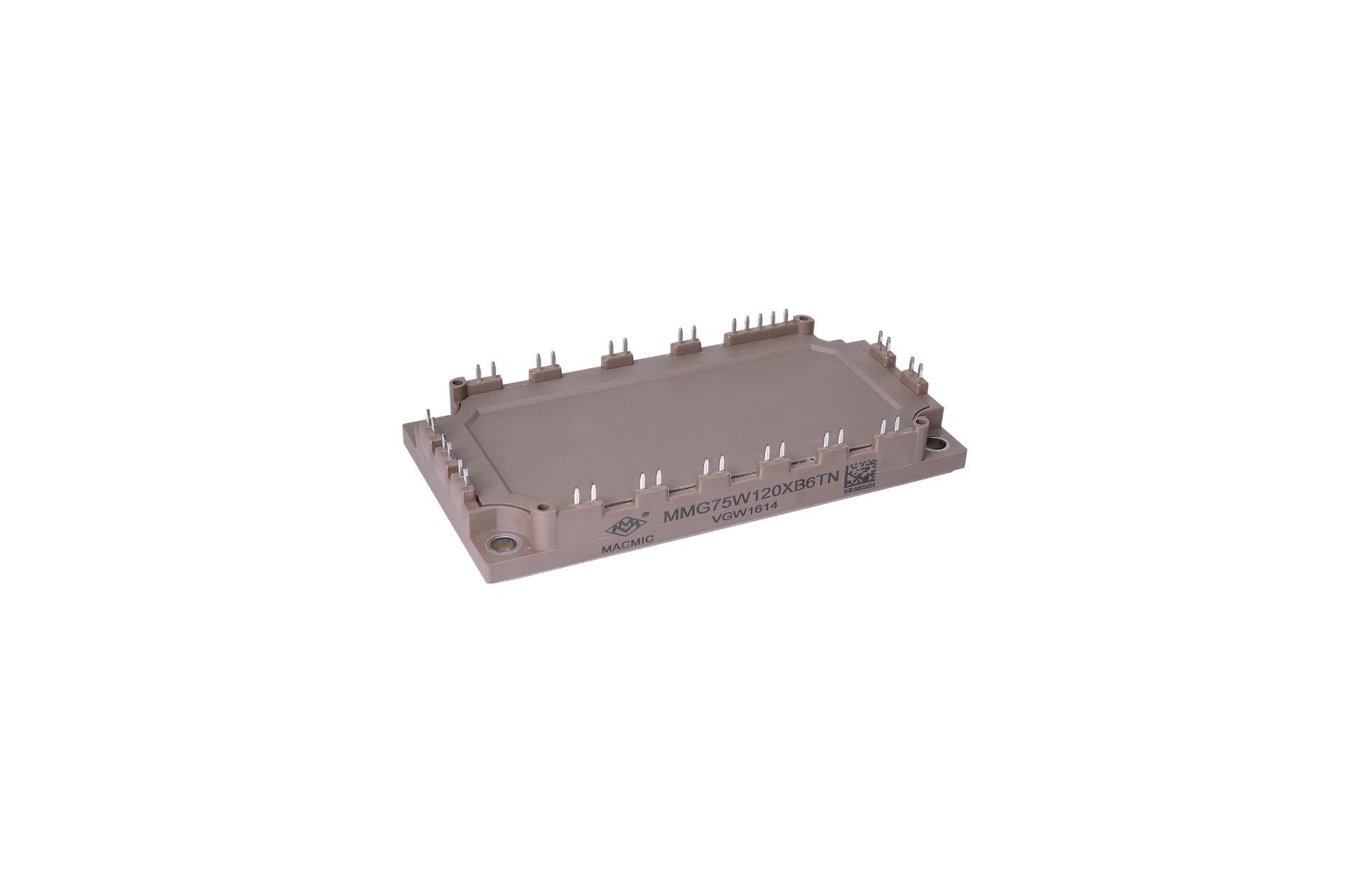 IGBT Module