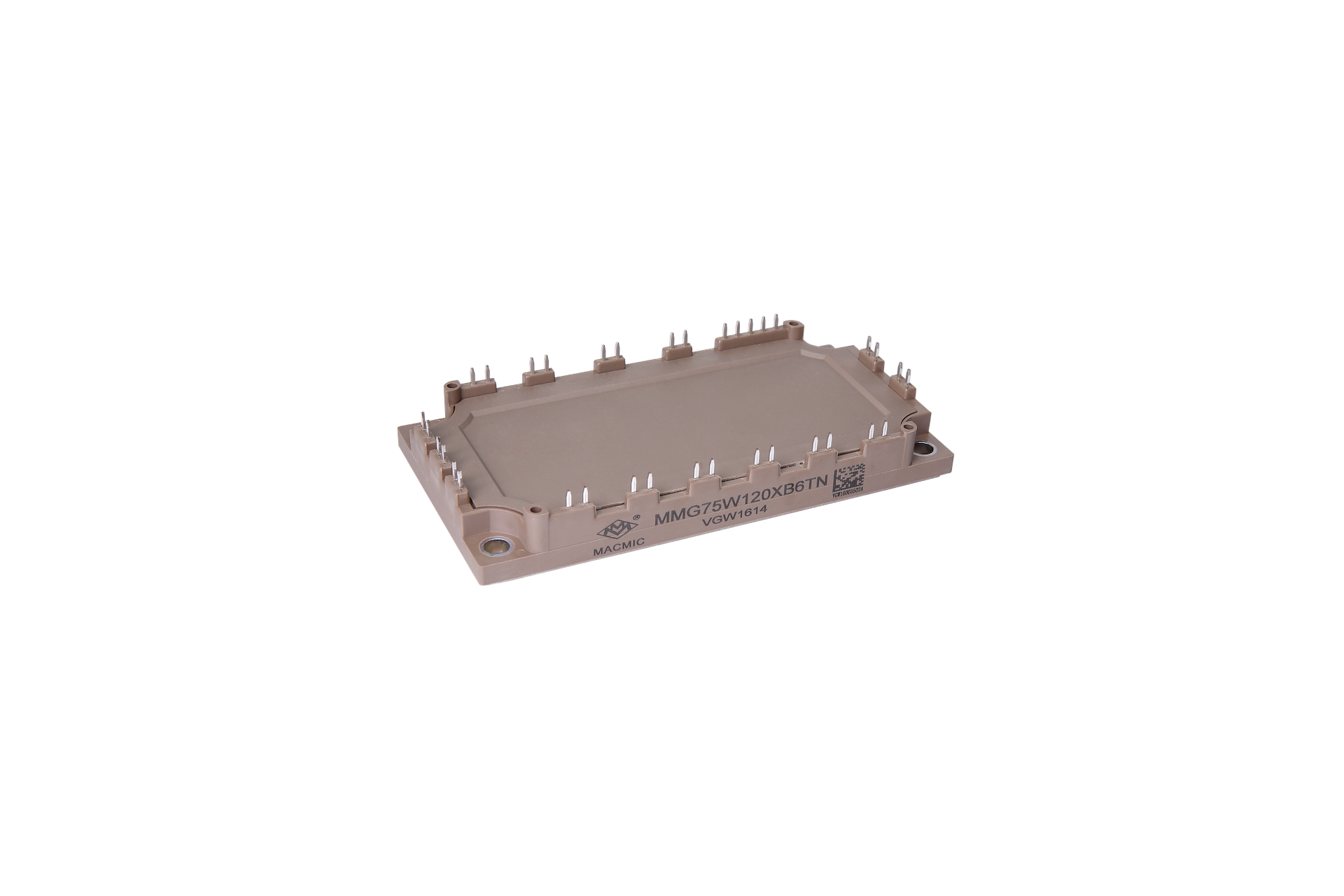 IGBT Module